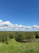 image-28-04-25-03-20-1